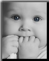 baby - cute