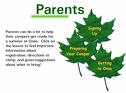 Parent - about parents