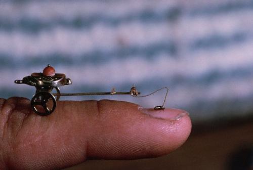flea - a female cat flea (ctenocephalides felis)tows a miniature 19th century cart,along human finger,at a circus in munich.the insect is not trained to pull,but is simply trying to avoide the light,unaware it is hitched.germany