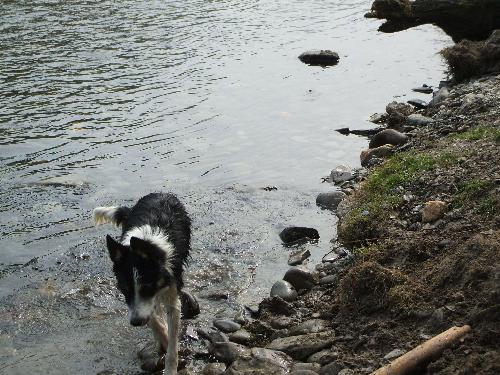 kelly at 6 months old - kelly playing by the stream 6 months old