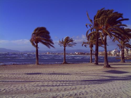 wind in playa de palma, mallorca - windy day in one of the most famous beach of mallorca, playa de palma, in the south east of palma