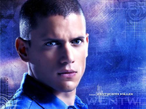 michael scofield - michael scofield's photos