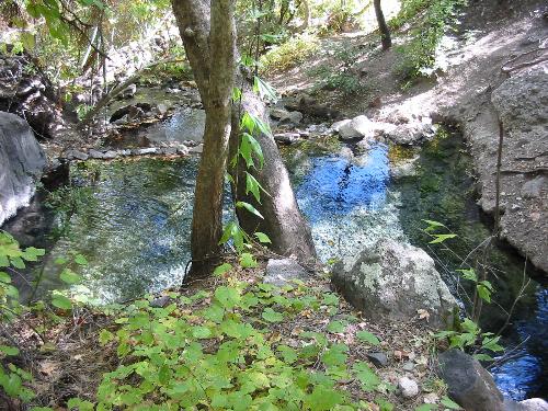 Hot Springs - A hot springs somewhere in the Mountains of New Mexico.