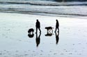 Hastings - Walking the dogs on 3 miles of beach.