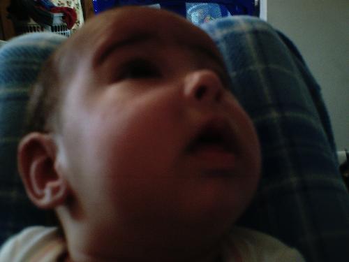 zoey - she was just staring off into space what she was looking at i have no clue. she's so cute.