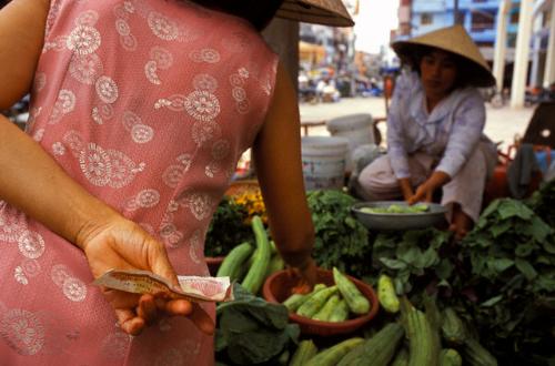 shopping - shopping for vegetables