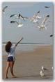 beach - what are you usually doing in the beach?