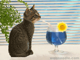 Funny Animations - Cats can enter into any straw