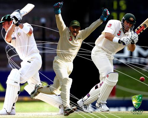 cricket - This is the famous cricketers photos
