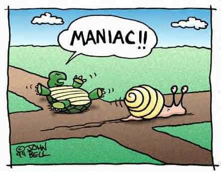 The Ultimate Race - My daughter has a pet red slider turtle, and she cracks up at this joke every time she sees it.