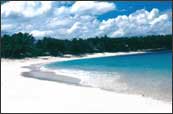 Pagudpud beach - In the Northern part of the Philippines is a beach reputed to have the longest contiguous white sand with mighty waves and strong winds that can compare to Hawaii. Wind and wave surfing are the outstanding activities that Pagudpud beach offers its very discriminating clientele. Not to mention the inviting views, clear blue waters, and white sand. Pagudpud promises its visitors a magnificent experience in a secluded paradise.