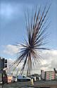 The B of the Bang - East Manchester's very expensive sculpture. Love it or hate it, it's big and bold!