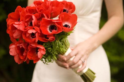 Flowers - A picture of a bouquet of red flowers.