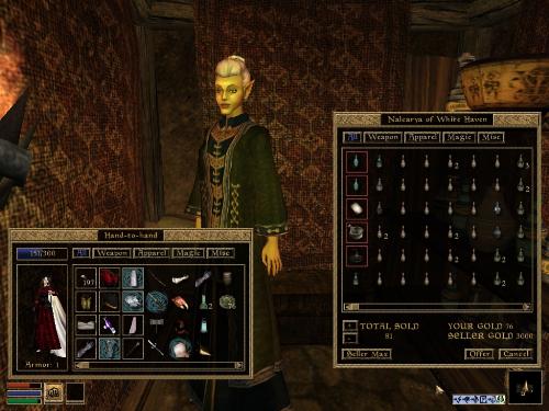 Morrowind Screenshots - Look at these brilliant pictures of my charecters:geldoir and gelodir AND SOME OF MY NEWEST CHARACTER gul du cott. So do you know that uploading morrowind screenshots are the best way to make money on mylot? Well if you want to know go to morrowinds root dictionary find the sentance: Screenshot enable=0. Turn this into Screenshot enable=1. Now this will allow you to be able to make morrowind screenshots! But now we have a problem! MyLot dosn't accept bitmap! Oh no! So go and get a program like irfanview! An you can turn them all into jpegs
