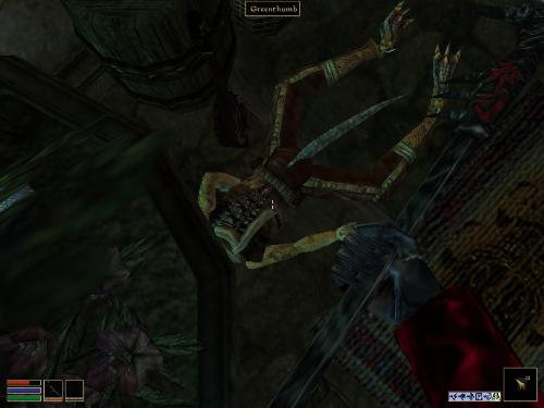 Morrowind Screenshots - Look at these brilliant pictures of my charecters:geldoir and gelodir AND SOME OF MY NEWEST CHARACTER gul du cott. So do you know that uploading morrowind screenshots are the best way to make money on mylot? Well if you want to know go to morrowinds root dictionary find the sentance: Screenshot enable=0. Turn this into Screenshot enable=1. Now this will allow you to be able to make morrowind screenshots! But now we have a problem! MyLot dosn't accept bitmap! Oh no! So go and get a program like irfanview! An you can turn them all into jpegs