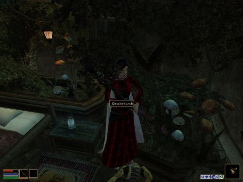 Morrowind Screenshots - Look at these brilliant pictures of my charecters:geldoir and gelodir AND SOME OF MY NEWEST CHARACTER gul du cott. So do you know that uploading morrowind screenshots are the best way to make money on mylot? Well if you want to know go to morrowinds root dictionary find the sentance: Screenshot enable=0. Turn this into Screenshot enable=1. Now this will allow you to be able to make morrowind screenshots! But now we have a problem! MyLot dosn't accept bitmap! Oh no! So go and get a program like irfanview! An you can turn them all into jpegs