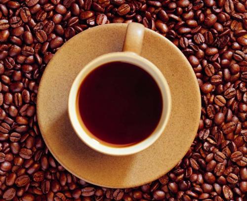 Fresh Coffee - A cup of hot fresh coffee