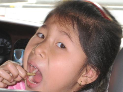 girl eating toasted maggot - This 8 year old girl from Laos prefers toasted maggots to sugar candy. Notice her perfect teeth. The insect is high in protein low in Fat, and doesn't cause cavities like sugar! girl eating toasted maggot - This 8 year old girl from Laos prefers toasted maggots to sugar candy. Notice her perfect teeth. The insect is high in protein low in Fat, and doesn't cause cavities like sugar!