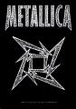 Metallica - they are the greatest band in the world now and they have influenced so many rock bands nowadays..they have performed well and and have built much reaspect from other great bands on industry