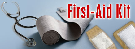 First Aid Kit - A first Aid kit is an essential must in any home, especially where there are kids.
