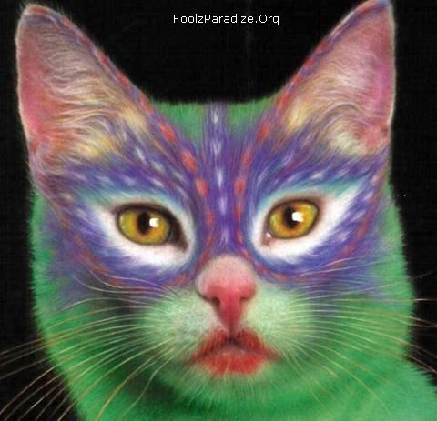 Cat the mew mew - Are really I look funny
