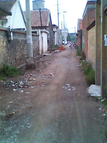 path -  this is a path i have to pass every day.  this is a path in my hometown ,a small village.