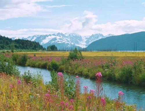 Alaska - Alaska Beauty.