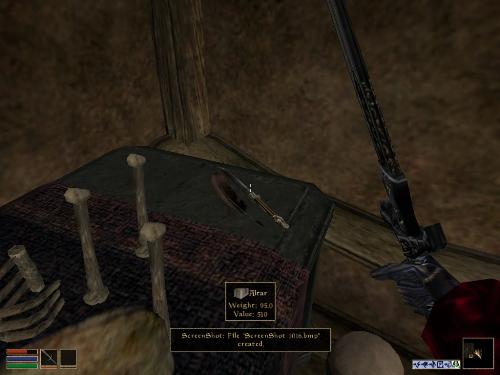 My elder scrolls screenshots! - Look at these brilliant pictures of my charecters:geldoir and gelodir AND SOME OF MY NEWEST CHARACTER gul du cott. So do you know that uploading morrowind screenshots are the best way to make money on mylot? Well if you want to know go to morrowinds root dictionary find the sentance: Screenshot enable=0. Turn this into Screenshot enable=1. Now this will allow you to be able to make morrowind screenshots! But now we have a problem! MyLot dosn't accept bitmap! Oh no! So go and get a program like irfanview! An you can turn them all into jpegs