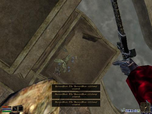 My elder scrolls screenshots! - Look at these brilliant pictures of my charecters:geldoir and gelodir AND SOME OF MY NEWEST CHARACTER gul du cott. So do you know that uploading morrowind screenshots are the best way to make money on mylot? Well if you want to know go to morrowinds root dictionary find the sentance: Screenshot enable=0. Turn this into Screenshot enable=1. Now this will allow you to be able to make morrowind screenshots! But now we have a problem! MyLot dosn't accept bitmap! Oh no! So go and get a program like irfanview! An you can turn them all into jpegs