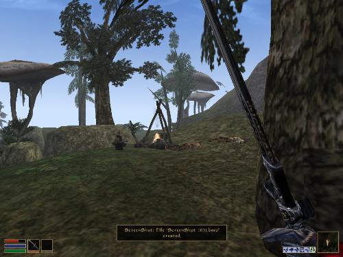 My elder scrolls screenshots! - Look at these brilliant pictures of my charecters:geldoir and gelodir AND SOME OF MY NEWEST CHARACTER gul du cott. So do you know that uploading morrowind screenshots are the best way to make money on mylot? Well if you want to know go to morrowinds root dictionary find the sentance: Screenshot enable=0. Turn this into Screenshot enable=1. Now this will allow you to be able to make morrowind screenshots! But now we have a problem! MyLot dosn't accept bitmap! Oh no! So go and get a program like irfanview! An you can turn them all into jpegs