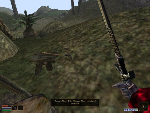 My elder scrolls screenshots! - Look at these brilliant pictures of my charecters:geldoir and gelodir AND SOME OF MY NEWEST CHARACTER gul du cott. So do you know that uploading morrowind screenshots are the best way to make money on mylot? Well if you want to know go to morrowinds root dictionary find the sentance: Screenshot enable=0. Turn this into Screenshot enable=1. Now this will allow you to be able to make morrowind screenshots! But now we have a problem! MyLot dosn't accept bitmap! Oh no! So go and get a program like irfanview! An you can turn them all into jpegs