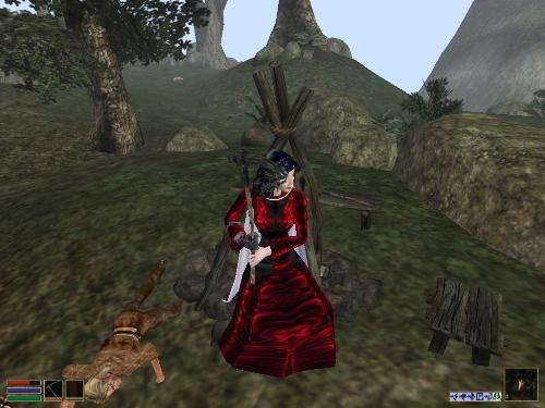 My elder scrolls screenshots! - Look at these brilliant pictures of my charecters:geldoir and gelodir AND SOME OF MY NEWEST CHARACTER gul du cott. So do you know that uploading morrowind screenshots are the best way to make money on mylot? Well if you want to know go to morrowinds root dictionary find the sentance: Screenshot enable=0. Turn this into Screenshot enable=1. Now this will allow you to be able to make morrowind screenshots! But now we have a problem! MyLot dosn't accept bitmap! Oh no! So go and get a program like irfanview! An you can turn them all into jpegs