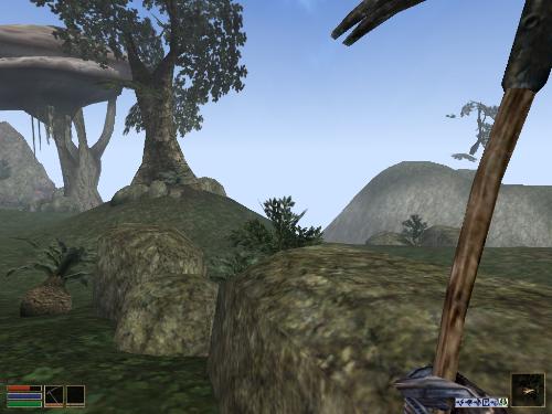 My elder scrolls screenshots! - Look at these brilliant pictures of my charecters:geldoir and gelodir AND SOME OF MY NEWEST CHARACTER gul du cott. So do you know that uploading morrowind screenshots are the best way to make money on mylot? Well if you want to know go to morrowinds root dictionary find the sentance: Screenshot enable=0. Turn this into Screenshot enable=1. Now this will allow you to be able to make morrowind screenshots! But now we have a problem! MyLot dosn't accept bitmap! Oh no! So go and get a program like irfanview! An you can turn them all into jpegs