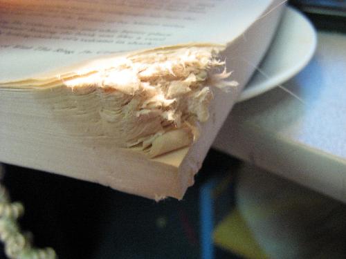 The corner of a book  -  My dog Yankee decided that this book would make a good teething ring . 