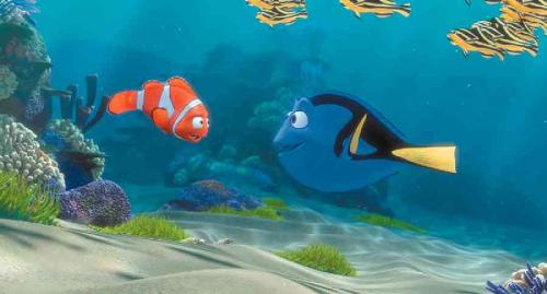 finding nemo - finding nemo images