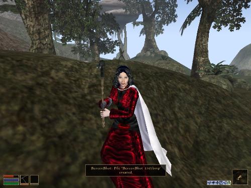 My elder scrolls screenshots - Look at these brilliant pictures of my charecters:geldoir and gelodir AND SOME OF MY NEWEST CHARACTER gul du cott. So do you know that uploading morrowind screenshots are the best way to make money on mylot? Well if you want to know go to morrowinds root dictionary find the sentance: Screenshot enable=0. Turn this into Screenshot enable=1. Now this will allow you to be able to make morrowind screenshots! But now we have a problem! MyLot dosn't accept bitmap! Oh no! So go and get a program like irfanview! An you can turn them all into jpegs
