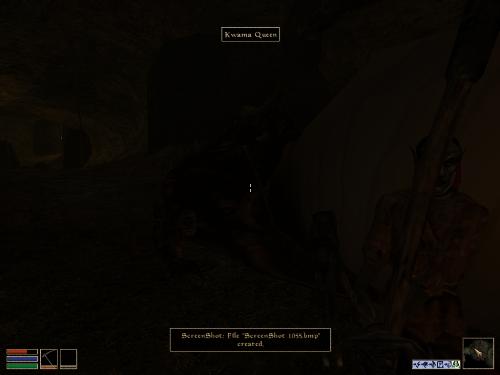 My elder scrolls screenshots - Look at these brilliant pictures of my charecters:geldoir and gelodir AND SOME OF MY NEWEST CHARACTER gul du cott. So do you know that uploading morrowind screenshots are the best way to make money on mylot? Well if you want to know go to morrowinds root dictionary find the sentance: Screenshot enable=0. Turn this into Screenshot enable=1. Now this will allow you to be able to make morrowind screenshots! But now we have a problem! MyLot dosn't accept bitmap! Oh no! So go and get a program like irfanview! An you can turn them all into jpegs