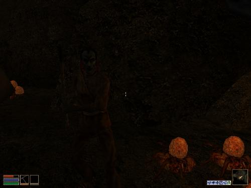 My elder scrolls screenshots - Look at these brilliant pictures of my charecters:geldoir and gelodir AND SOME OF MY NEWEST CHARACTER gul du cott. So do you know that uploading morrowind screenshots are the best way to make money on mylot? Well if you want to know go to morrowinds root dictionary find the sentance: Screenshot enable=0. Turn this into Screenshot enable=1. Now this will allow you to be able to make morrowind screenshots! But now we have a problem! MyLot dosn't accept bitmap! Oh no! So go and get a program like irfanview! An you can turn them all into jpegs