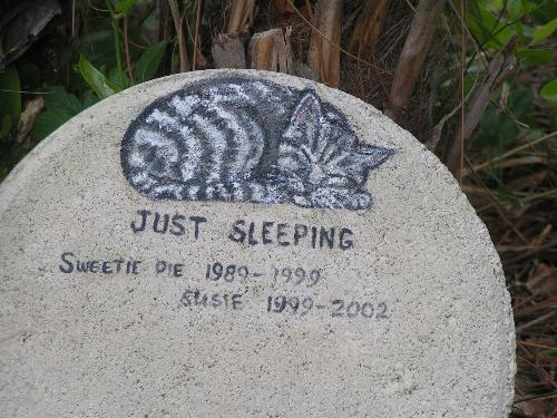 Pet Memory Stone - This is the memory stone I use in my little pet cemetary. I painted it on a round flagstone that I bought at Walmart. It stands in a small flower bed.