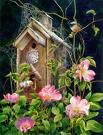 Arleta Pech Limited Edition - Design