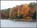 Natures natural painting - trees