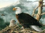 Natures Majesty - birds