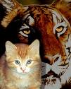 cat and tiger - cat and tiger image