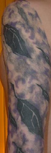 AFI Sing THe Sorrow Leaves Sleeve - This is a sleeve of the leaves from AFI's Sing The Sorrow