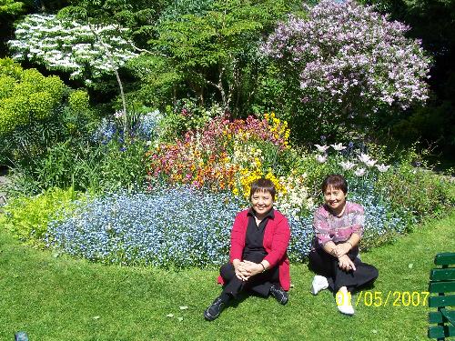 Garden - Beautiful garden beside the Warwick Castle.