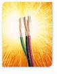 electrical wire - eating bijli?