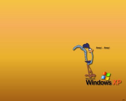 Roadrunner - Beep Beep...windows coming