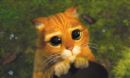 shrek 3 - shrek pic