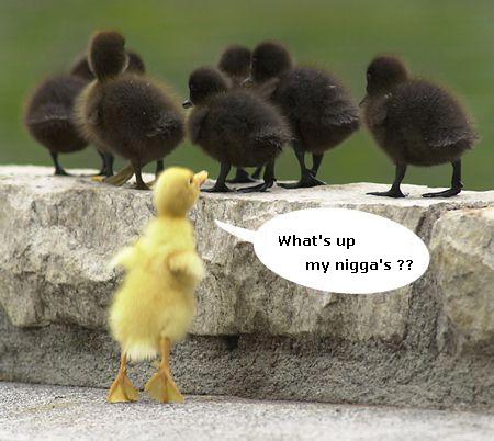 joke - funny,funny,funny