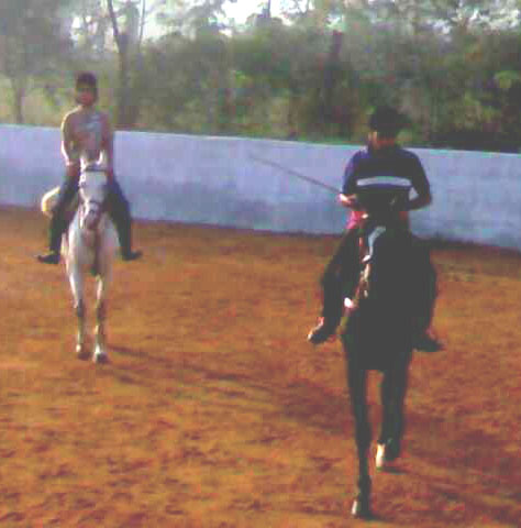 ME RIDING - ME RIDING